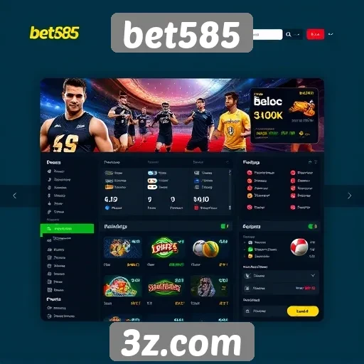 Interface e usabilidade do site bet585
