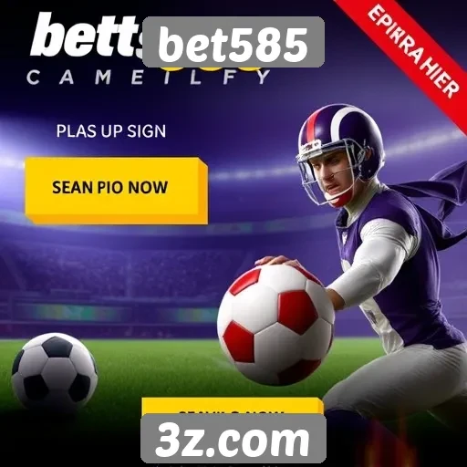 Análise das promoções disponíveis no site bet585